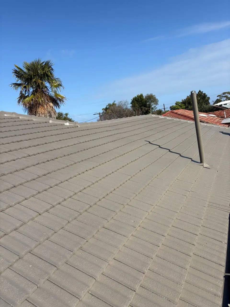 Cleaned tile roof planes